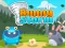 თამაში Bunny Storm ონლაინ