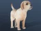 თამაში IDLE Pet ონლაინ