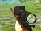 თამაში Hunter 3D ონლაინ