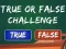 თამაში  True Or False Challenge ონლაინ