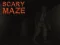 თამაში Scary Maze ონლაინ