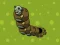 თამაში Zombie Worms ონლაინ