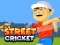 თამაში Street Cricket ონლაინ