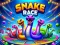 თამაში Snake Race ონლაინ