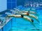 თამაში Swimming Pool Race ონლაინ