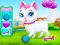 თამაში Pet Health Care ონლაინ