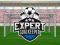 თამაში Expert Goalkeeper ონლაინ