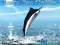 თამაში Azure Sea Fishing ონლაინ