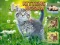 თამაში Kittens Jigsaw ონლაინ