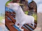 თამაში Angry Goat Wild Animal Rampage ონლაინ