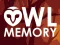 თამაში Owl Memory ონლაინ