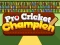 თამაში Pro Cricket Champion ონლაინ