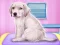 თამაში Labrador at the doctor salon ონლაინ