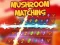 თამაში Mushroom matching ონლაინ