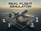 თამაში Real Flight Simulator ონლაინ