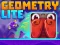 თამაში Geometry Lite ონლაინ