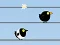 თამაში Gone with the Birds ონლაინ