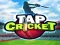 თამაში Tap Cricket ონლაინ