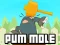 თამაში Pum-Mole ონლაინ