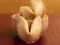 თამაში Fortune Cookies ონლაინ