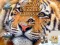 თამაში Jigsaw Puzzles Classic ონლაინ