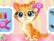 თამაში Pets Beauty Salon ონლაინ