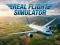 თამაში Real Flight Simulator ონლაინ
