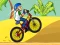 თამაში BMX Boy Online ონლაინ