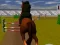 თამაში Jumping Horse 3d ონლაინ