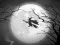 თამაში The Night Of the Witches Jigsaw ონლაინ