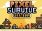 თამაში Pixel Survive Western ონლაინ