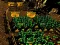 თამაში Pixel Farm ონლაინ