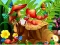 თამაში Hidden Objects Insects ონლაინ