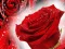 თამაში Red Roses ონლაინ
