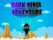 თამაში Dark Ninja Adventure ონლაინ