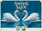 თამაში Swans Slide ონლაინ