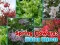 თამაში Spring Flowers: Hidden Objects ონლაინ