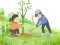თამაში Arbor Day Puzzle ონლაინ