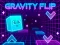 თამაში Gravity Flip ონლაინ