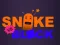 თამაში Snake vs Blocks ონლაინ
