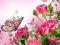 თამაში Butterflies Puzzle ონლაინ