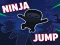 თამაში Ninja jump ონლაინ