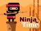 თამაში Ninja Time ონლაინ