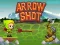 თამაში Arrow Shoot ონლაინ