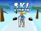 თამაში Ski Rush 3d ონლაინ