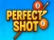 თამაში Perfect Shot ონლაინ