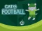 თამაში Cat Football ონლაინ