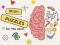 თამაში Brain Puzzles Quests ონლაინ