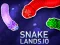თამაში Snake Lands.io ონლაინ