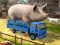 თამაში Driver Master Simulator ონლაინ